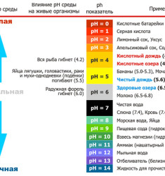 Лакмусовая бумага ph 5м (индикаторная)