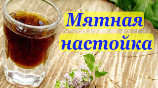 Мятная настойка